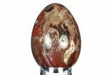 Colorful, Polished Petrified Wood Egg - Madagascar #318341-1